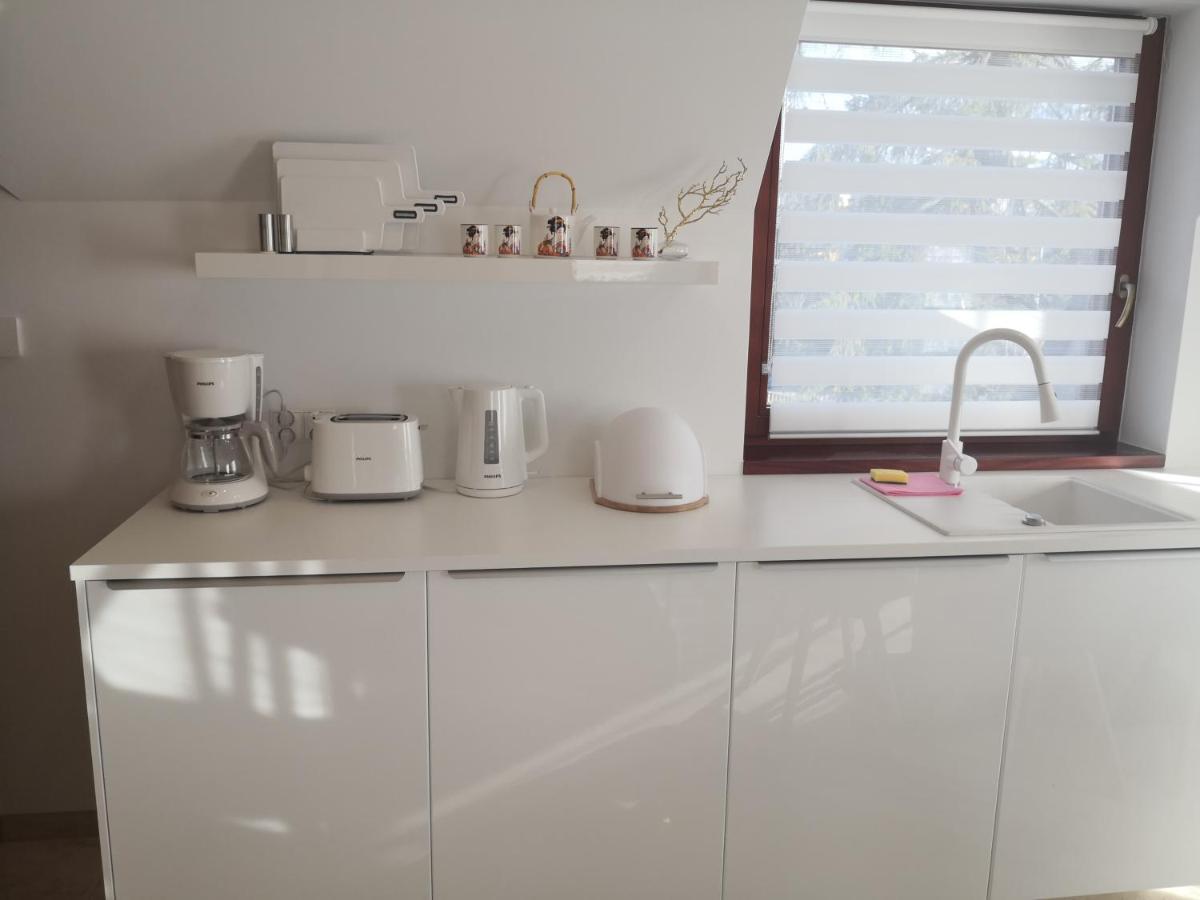 Willa Nika, Apartamenty Закопане Экстерьер фото