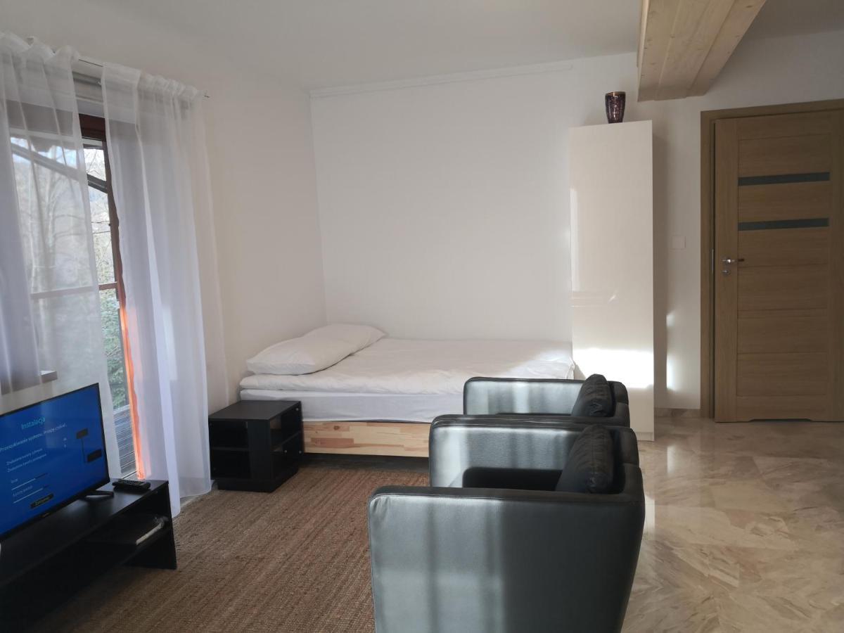 Willa Nika, Apartamenty Закопане Экстерьер фото