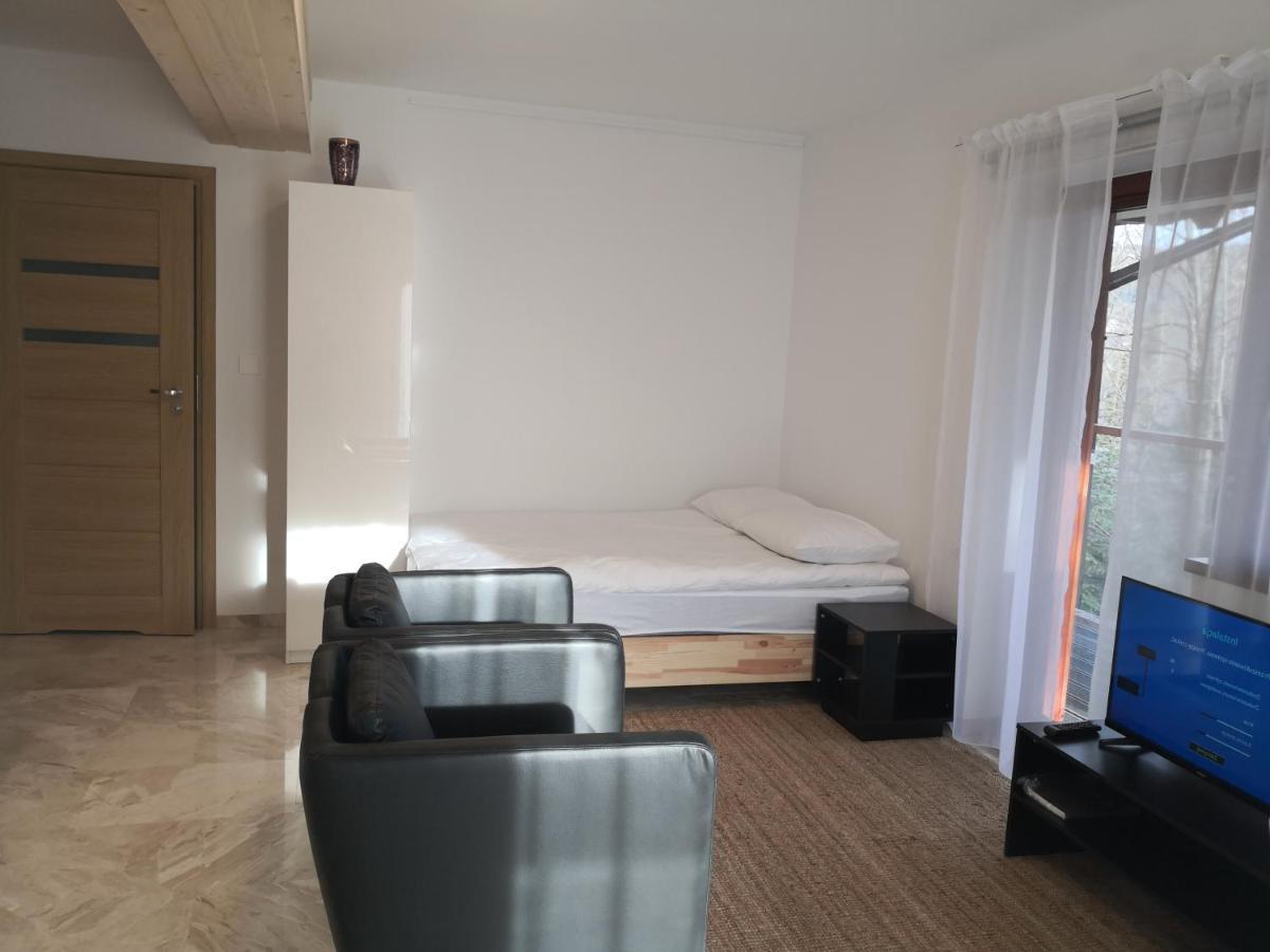 Willa Nika, Apartamenty Закопане Экстерьер фото